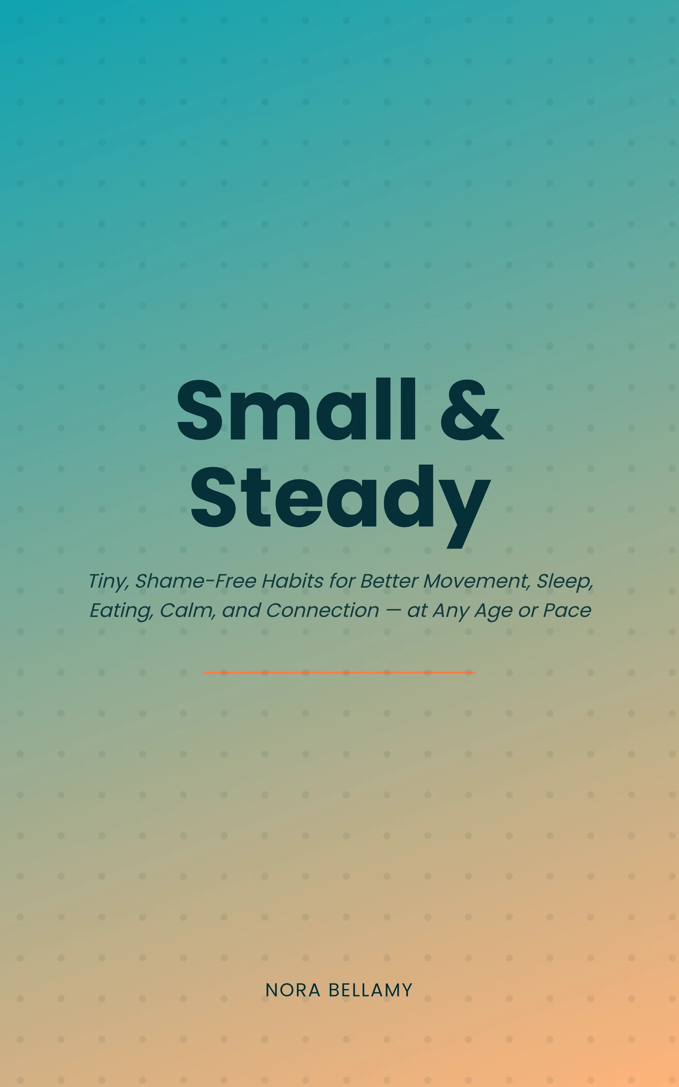 Small & Steady — cover