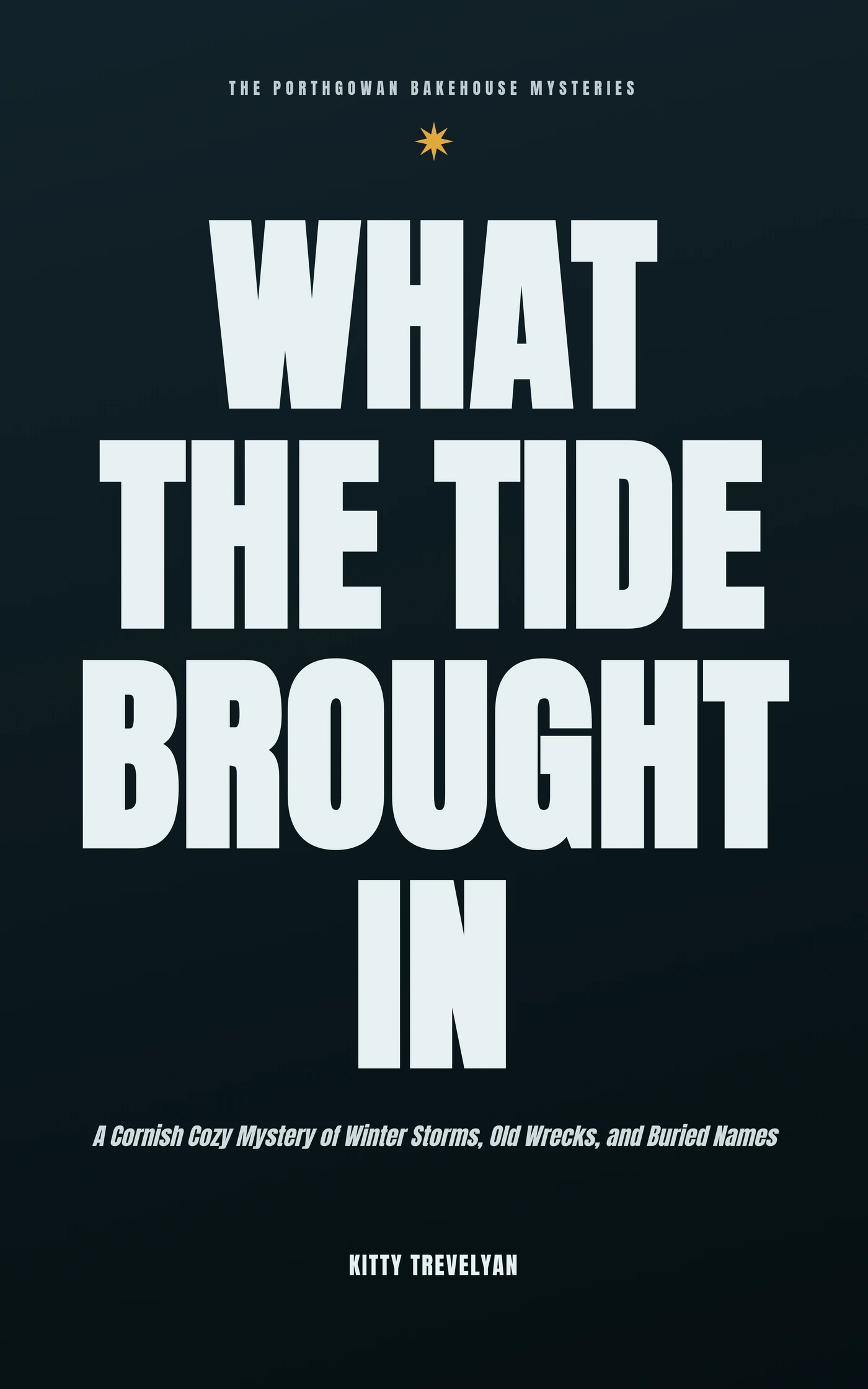 What the Tide Brought In — cover